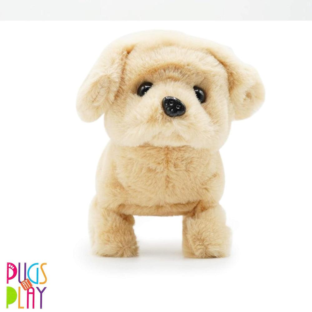 Fuzzbuzz Pugs At Play Goldie - The Walking Dog