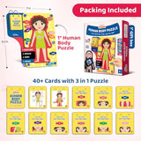 Smartivity Human Body Anatomy Puzzle - parts