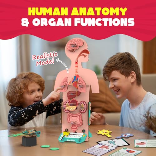 Smartivity Human Body STEM Toy - build detail