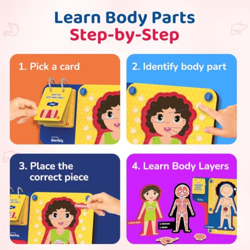 Smartivity Human Body Anatomy Puzzle - cards