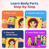 Smartivity Human Body Anatomy Puzzle - cards