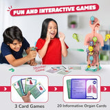 Smartivity Human Body STEM Toy - model