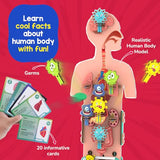 Smartivity Human Body STEM Toy - parts