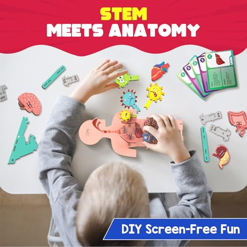 Smartivity Human Body STEM Toy - in use