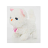 Fuzzbuzz Pugs At Play Casper - The Walking Cat