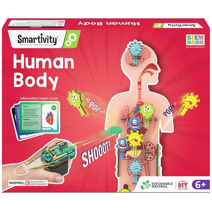 Smartivity Human Body STEM Toy