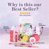 Whimsy Glitters Pouch Beauty Kit - Pack of 5
