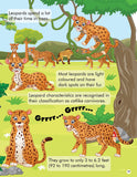 Dreamland Explore the Jungle Activity Book with Stickers and 3D Models