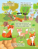 Dreamland Explore the Jungle Activity Book with Stickers and 3D Models
