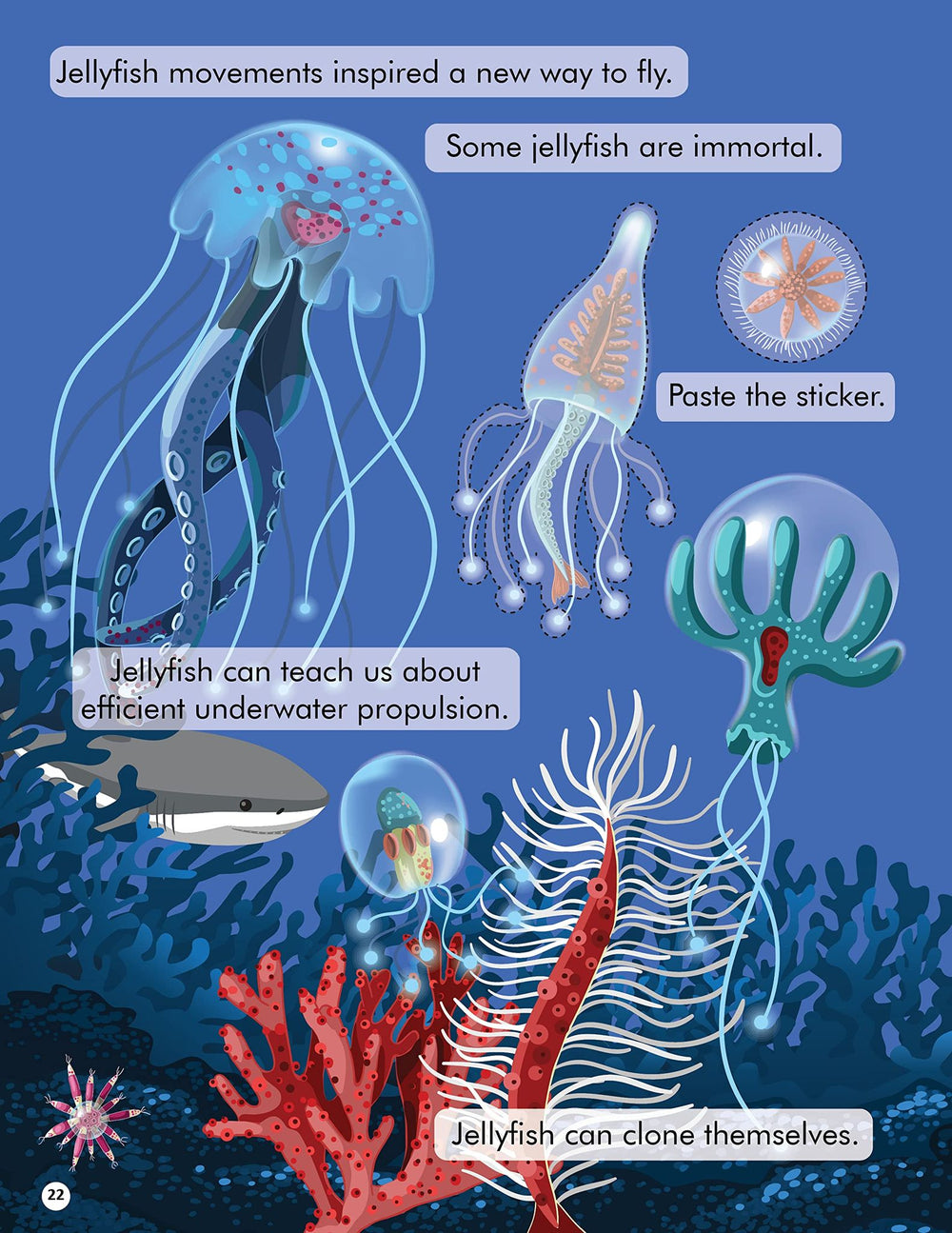 Dreamland Explore the Sea Activity Book with Stickers and 3D Models