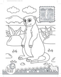 Dreamland Jungle- It's Colour time with Stickers