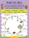 Dreamland Publications - Science Activity Book Age 6+