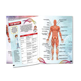 Dreamland Publications - Explore Human Body Encyclopedia