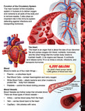 Dreamland Publications - Explore Human Body Encyclopedia
