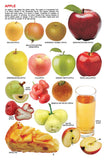 Dreamland Publications - My Jumbo Book - FRUIT