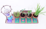 Funvention Garden Drip Irrigation Kit DIY Science Educational Toy