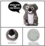 Fuzzbuzz Pugs At Play - Joey The Talking Koala