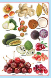 Dreamland Publications - My Jumbo Fruit Pictionary