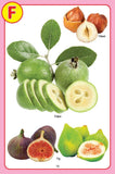 Dreamland Publications - My Jumbo Fruit Pictionary