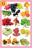 Dreamland Publications - My Jumbo Fruit Pictionary