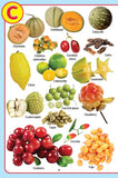Dreamland Publications - My Jumbo Fruit Pictionary