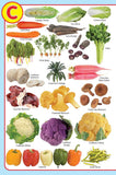 Dreamland Publications - My Jumbo Vegetables Pictionary