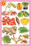 Dreamland Publications - My Jumbo Vegetables Pictionary