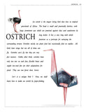 Dreamland Publications - Paper Folding Part 4