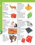 Dreamland Publications - Super Picture Dictionary