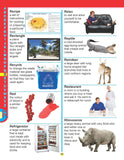 Dreamland Publications - Super Picture Dictionary