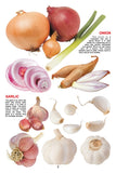 Dreamland Publications - My Jumbo Book - VEGETABLE