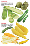 Dreamland Publications - My Jumbo Book - VEGETABLE