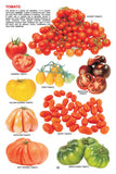 Dreamland Publications - My Jumbo Book - VEGETABLE