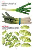Dreamland Publications - My Jumbo Book - VEGETABLE