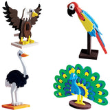 Imagimake Birds worldwide