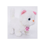 Fuzzbuzz Pugs At Play Casper - The Walking Cat