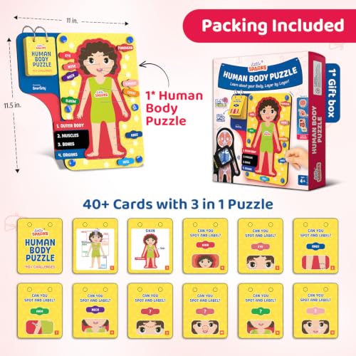 Smartivity Human Body Anatomy Puzzle - parts
