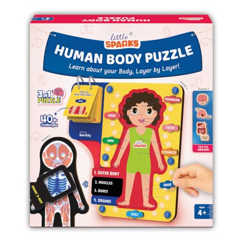 Smartivity Human Body Anatomy Puzzle - box