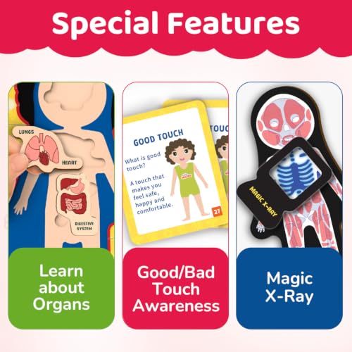 Smartivity Human Body Anatomy Puzzle - packaging