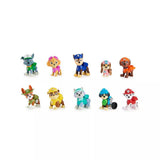 Paw Patrol All Paws Gift Set