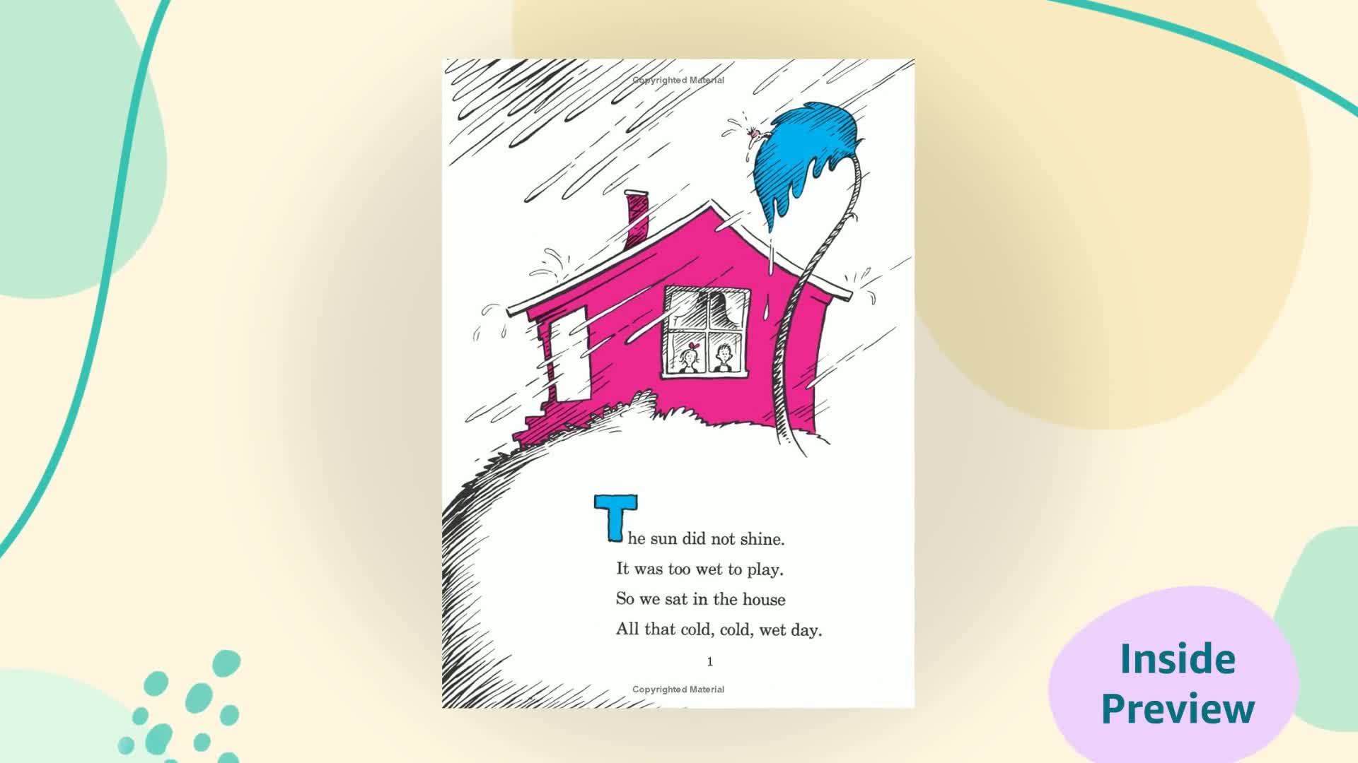 Dr. Seuss The Cat In The Hat