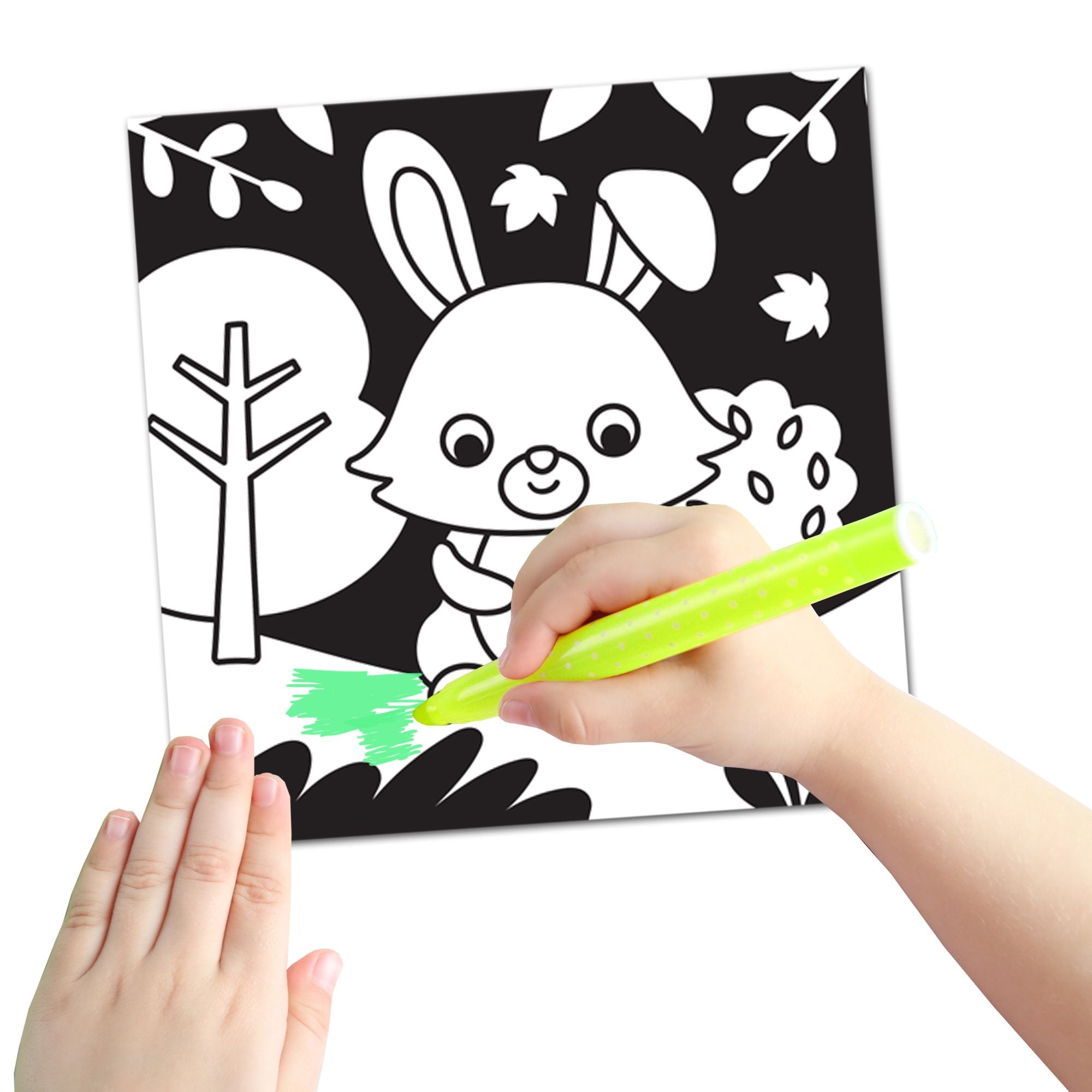 Dreamland Publications - Farm Velvet Art Set With 10 Free Sketch Pens