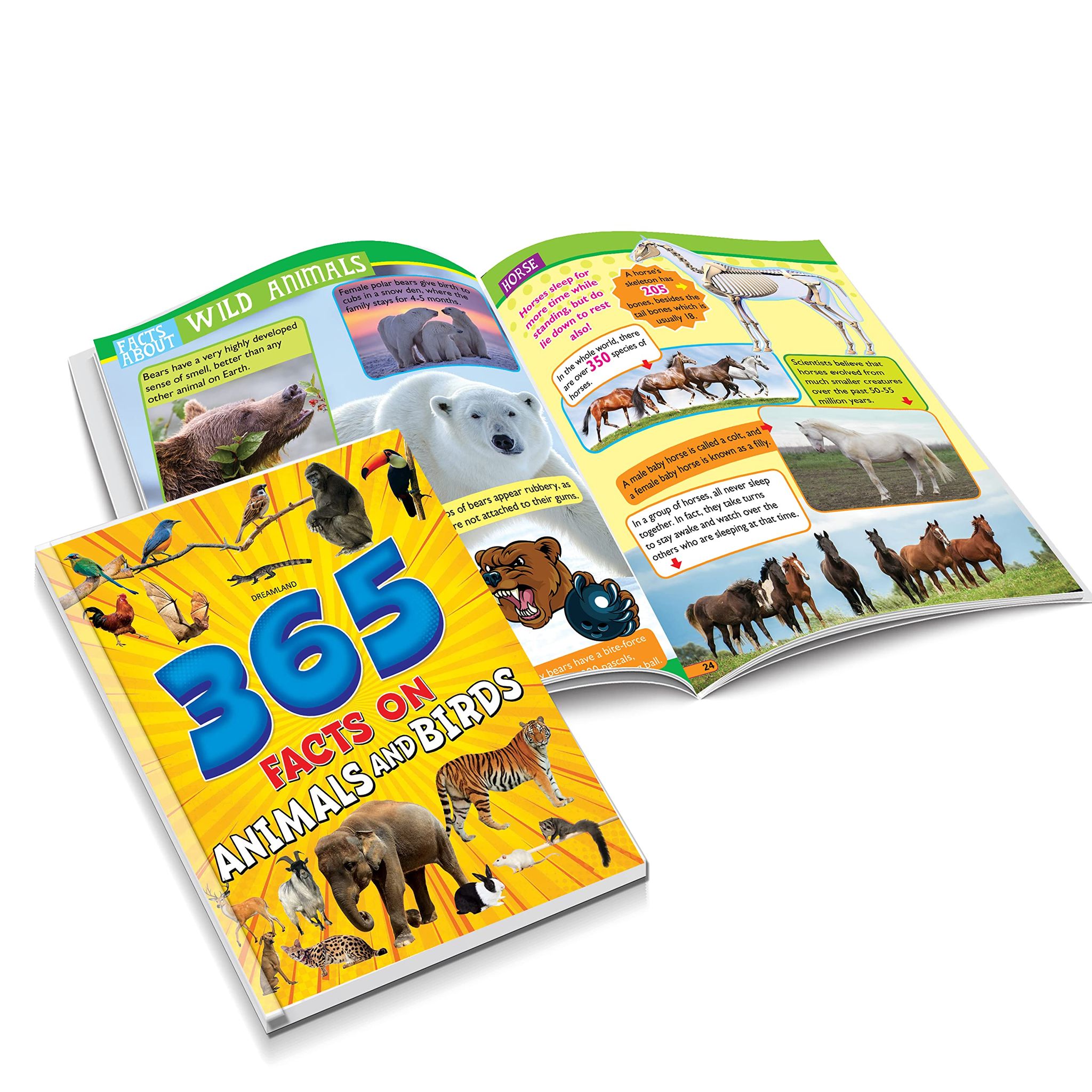 Dreamland Publications - 365 Facts Series A set of 3 Books
