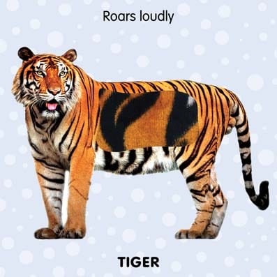 Dreamland Publications - Touch and Feel - Jungle Animals