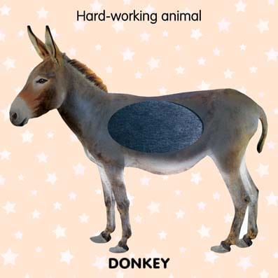 Dreamland Publications - Touch and Feel - Farm Animals