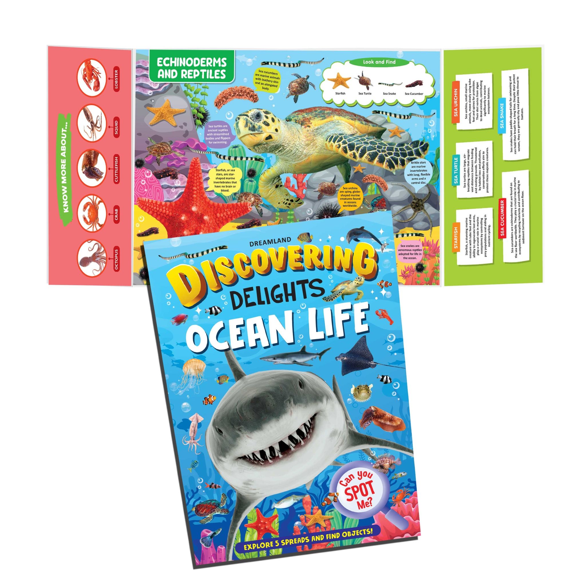 Dreamland Publications - Discovering Delights Ocean Life