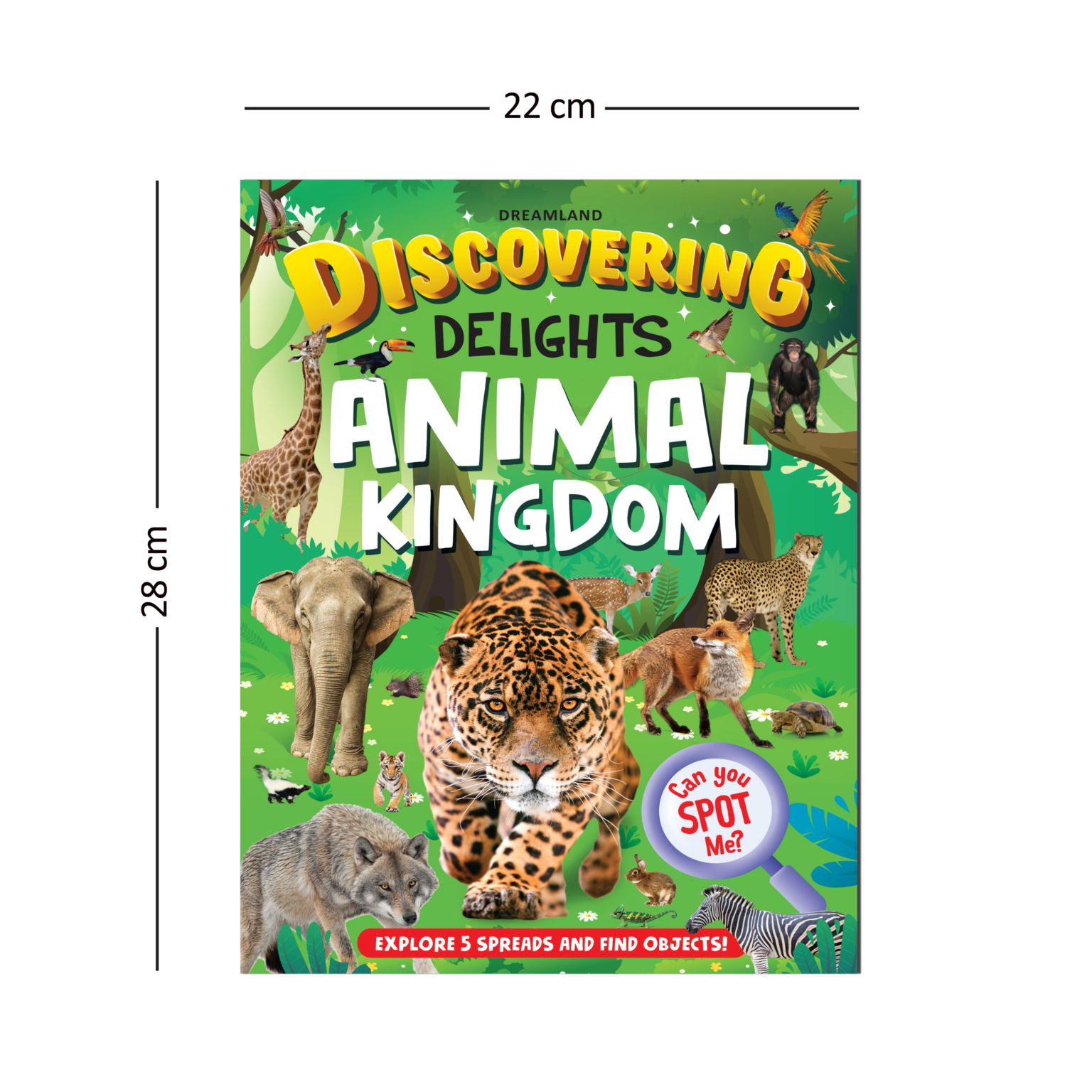 Dreamland Publications Discovering Delights - Animal Kingdom