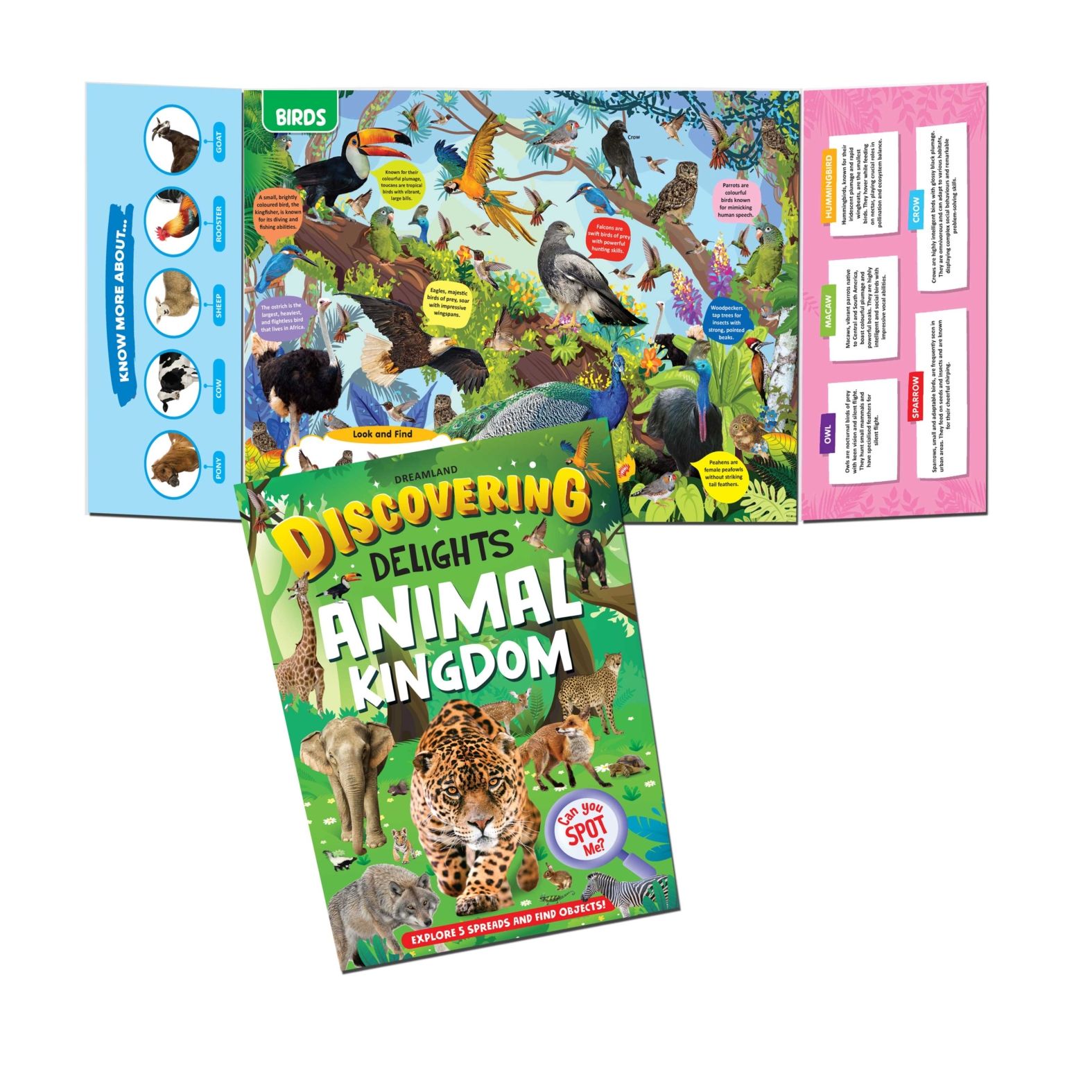 Dreamland Publications Discovering Delights - Animal Kingdom