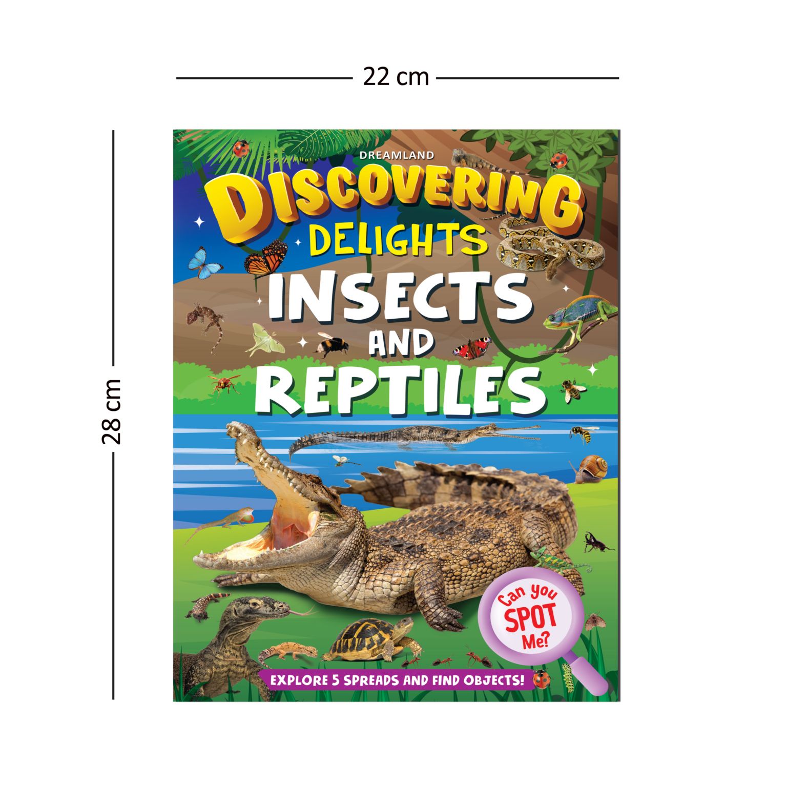 Dreamland Publications Discovering Delights - Insect & Reptiles