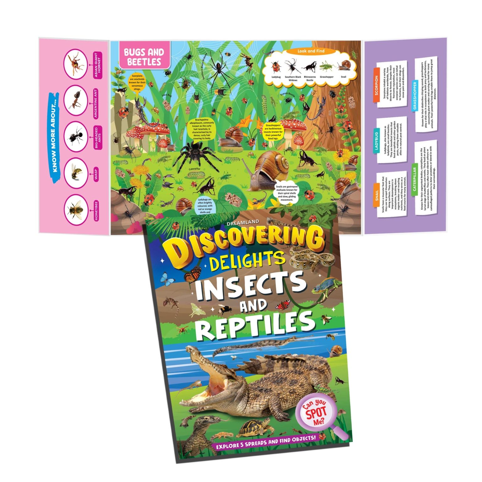 Dreamland Publications Discovering Delights - Insect & Reptiles
